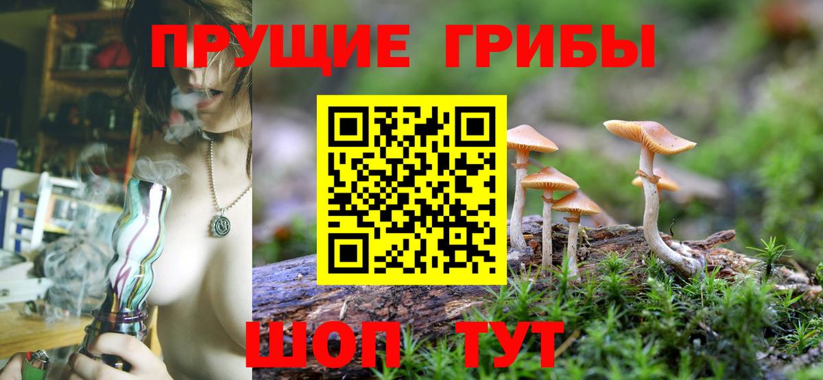 Галлюциногенные грибы Cubensis  Вход с VPN  Кандалакша  Галлюциногенные грибы Magic Shrooms 