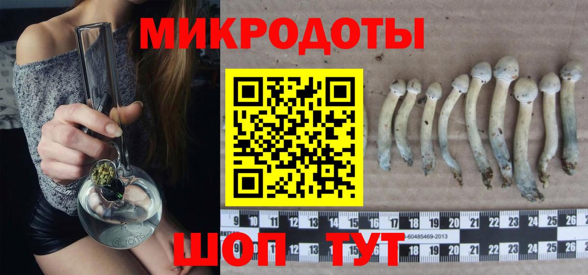 Галлюциногенные грибы GOLDEN TEACHER Кандалакша